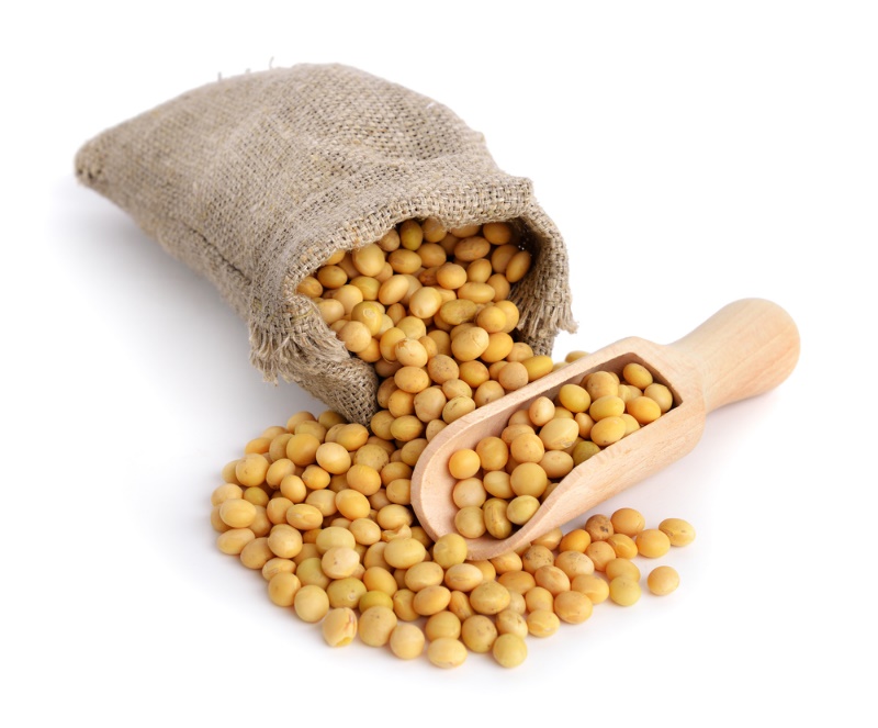 Hat dau nanh, nguyen lieu cua soi soy protein